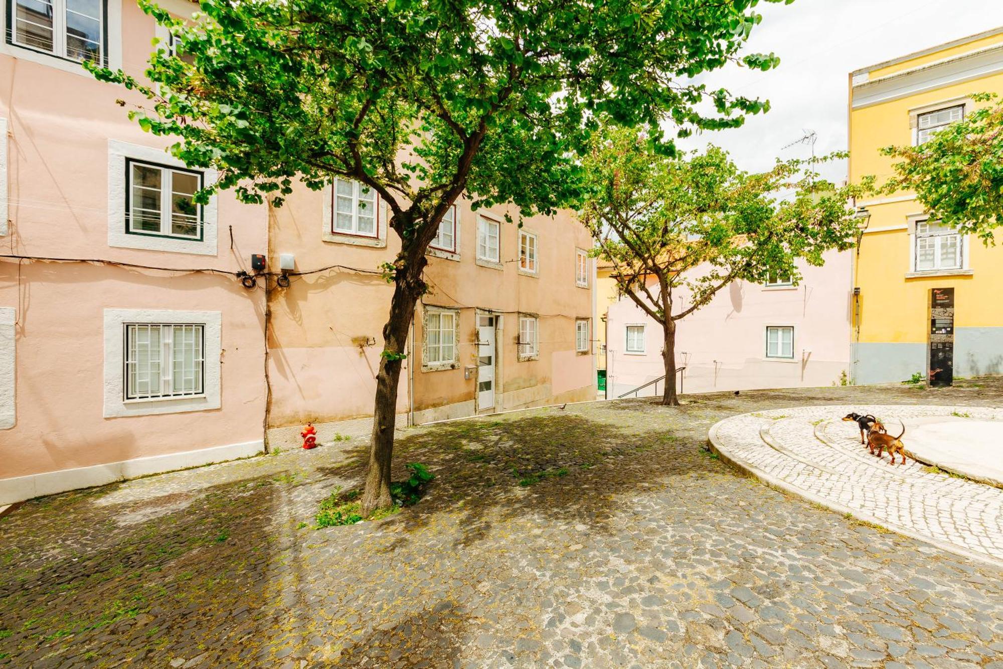 Rent4Rest Lisbon Downtown Tiny Studio Apartments エクステリア 写真